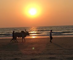 Goa by sunset
